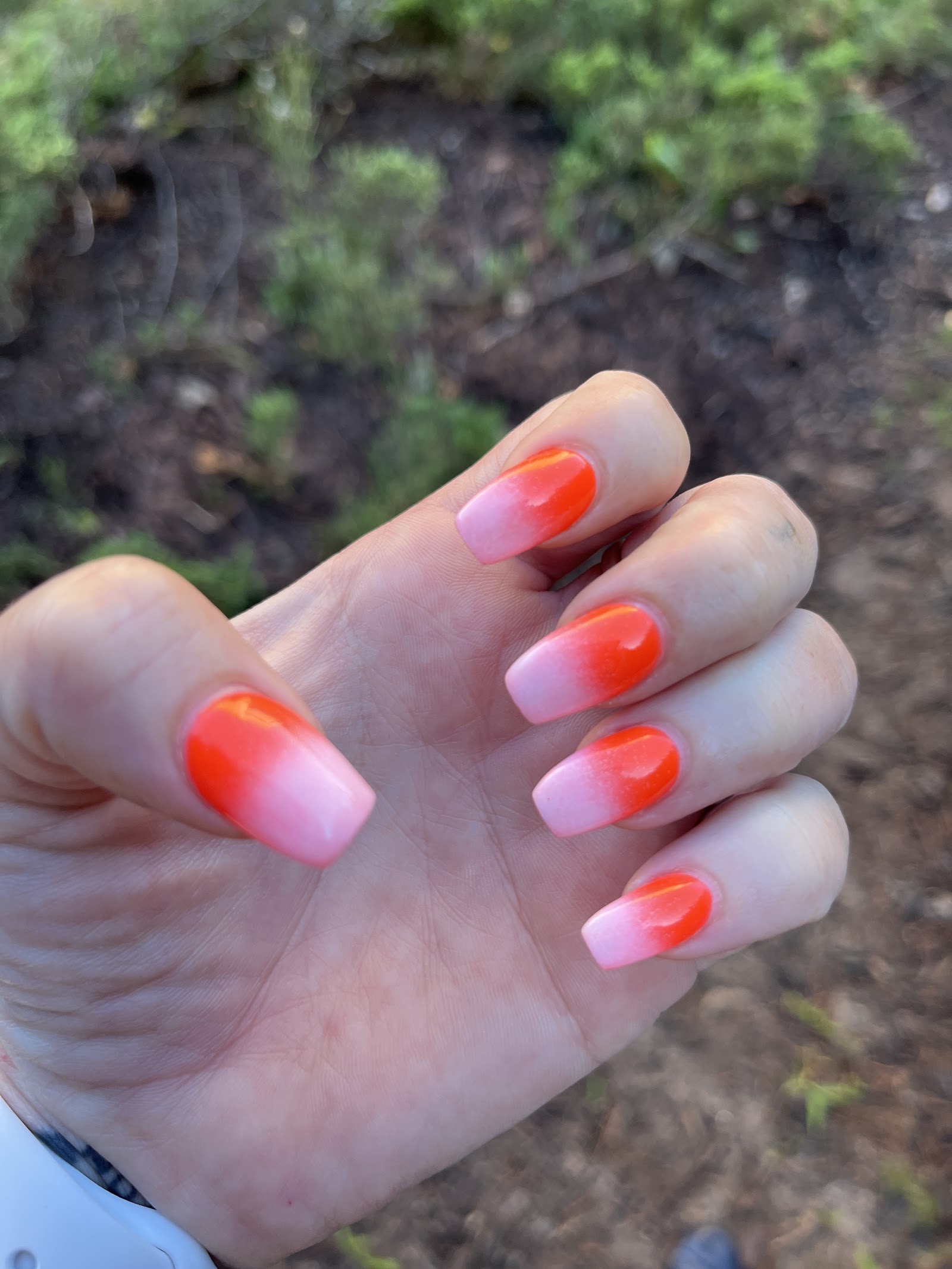 Sauve's Nails logo